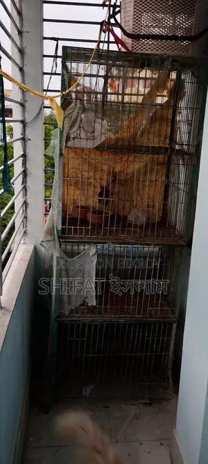 4-Compartment Cage