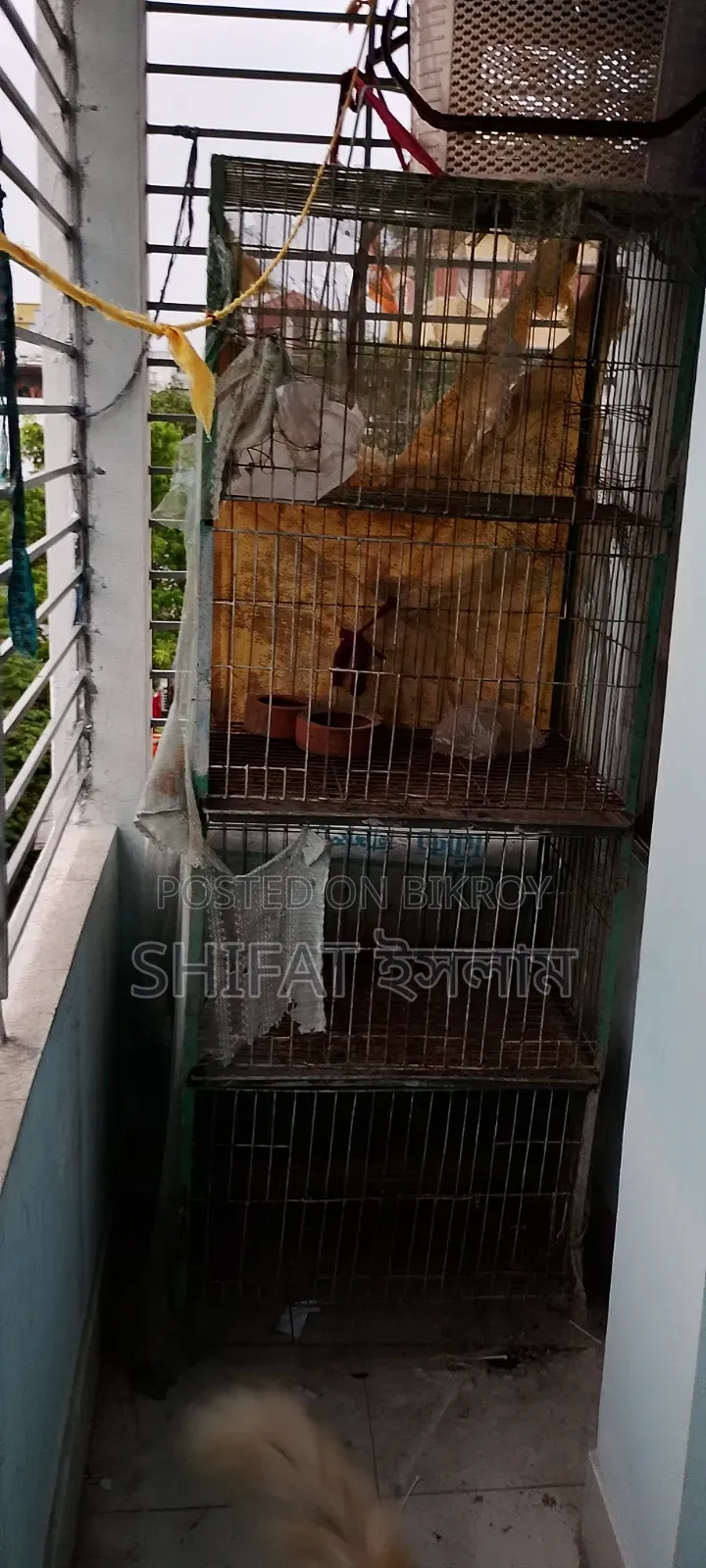 4-Compartment Cage