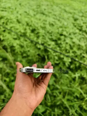 অ্যাপল আইফোন ১৪ প্রো ১২৮ জিবি সিলভার