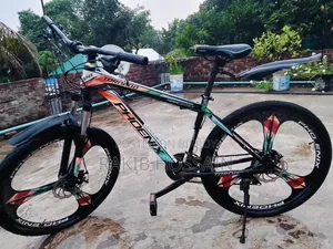 Phoenix Tornado Bicycle