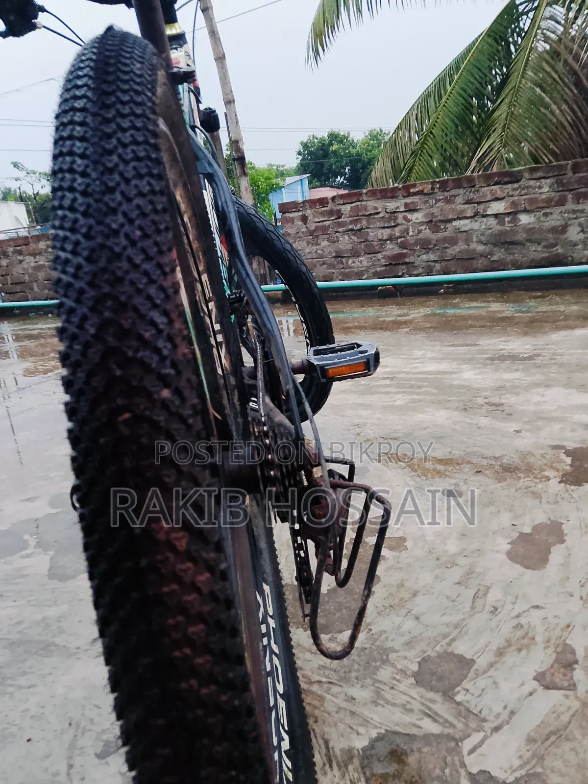 Phoenix Tornado Bicycle