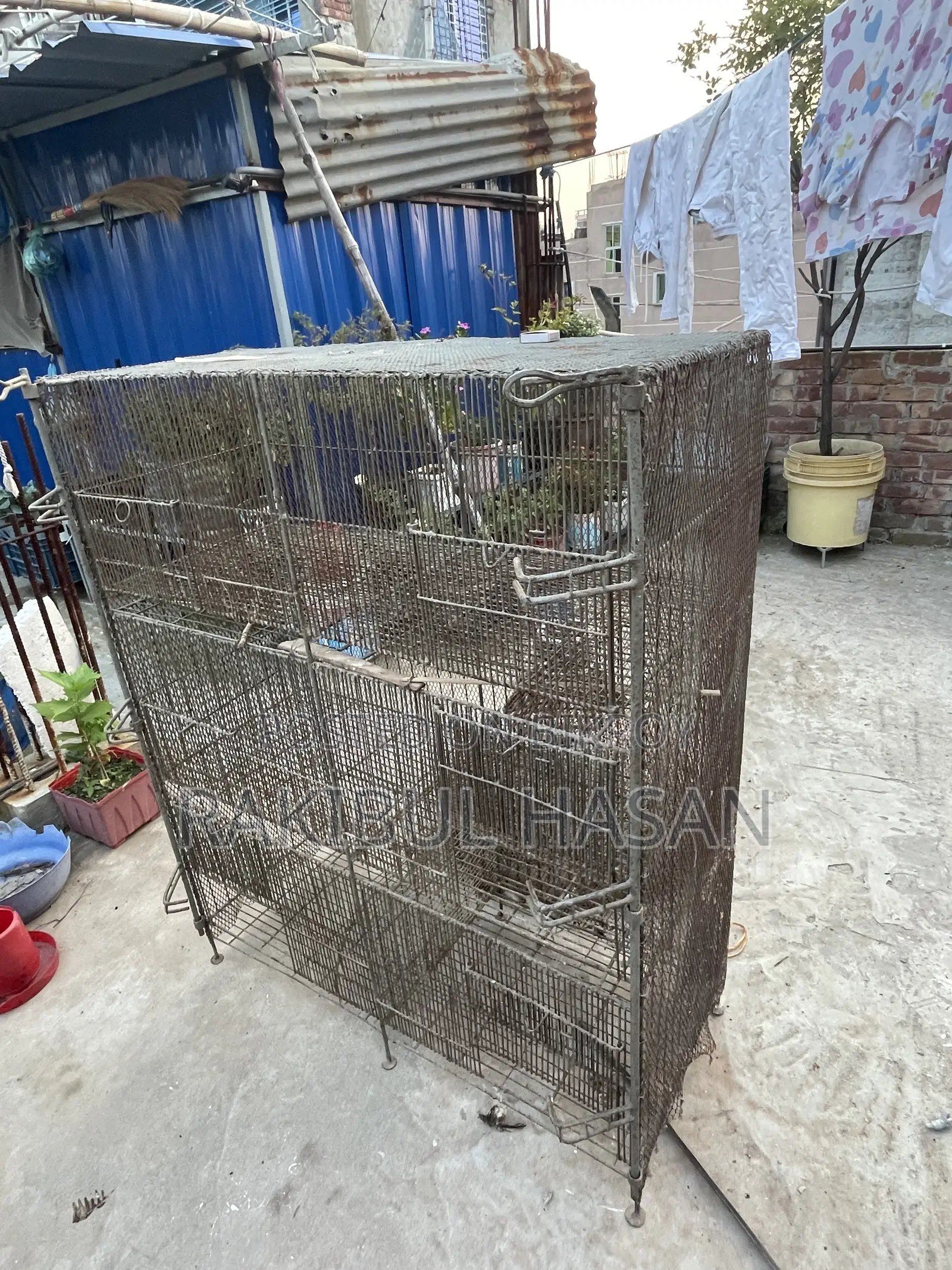 6 / 3 Compartment Cage