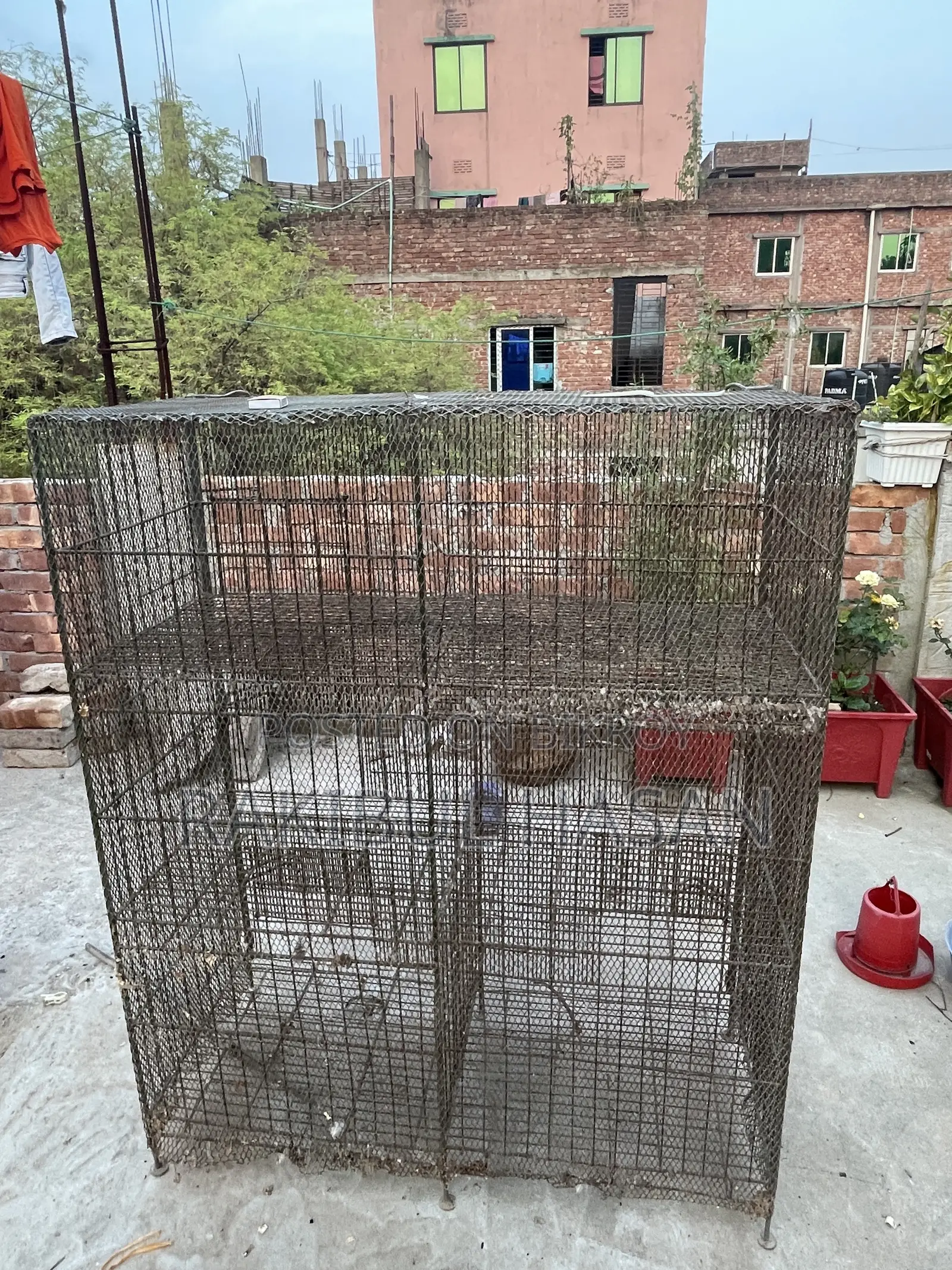6 / 3 Compartment Cage