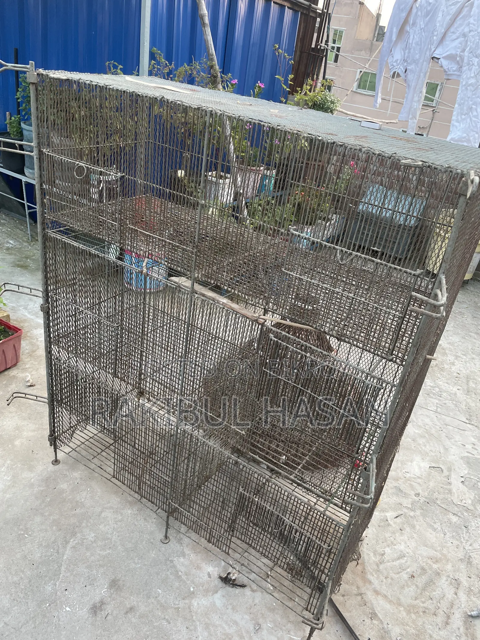 6 / 3 Compartment Cage
