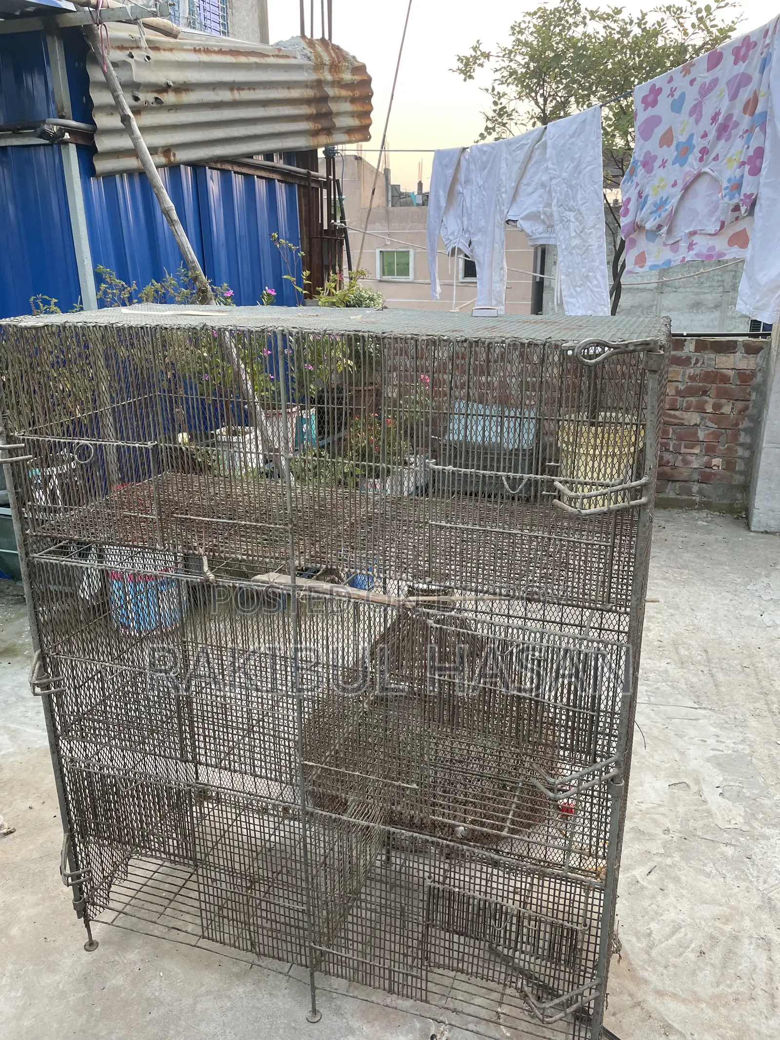 6 / 3 Compartment Cage