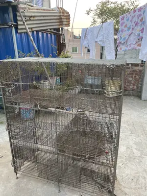 6 / 3 Compartment Cage
