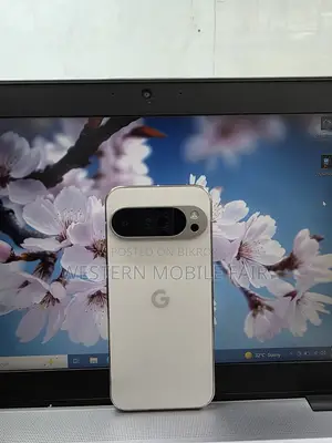 Google Pixel 9 Pro 256 GB Gray