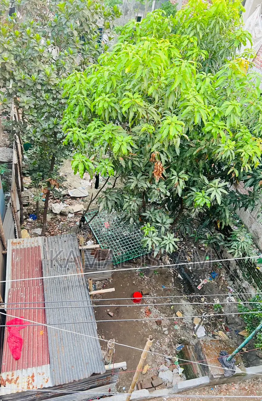সোয়া এক কাঠা জমি বিক্রি