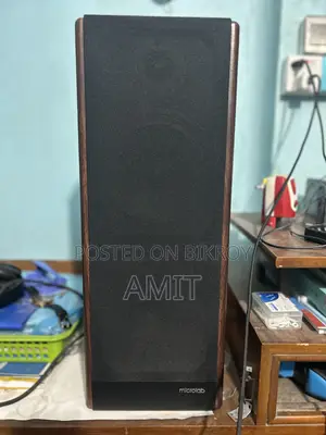 মাইক্রোল্যাব সোলো ২৯