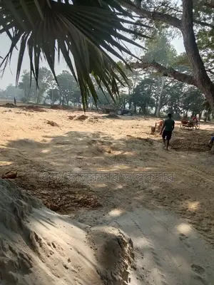 55 Shotok high filled land for sale in Adamdighi suitable for mills and factories