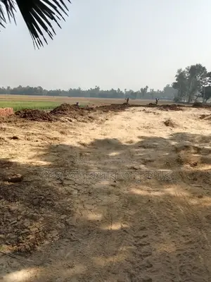 55 Shotok high filled land for sale in Adamdighi suitable for mills and factories
