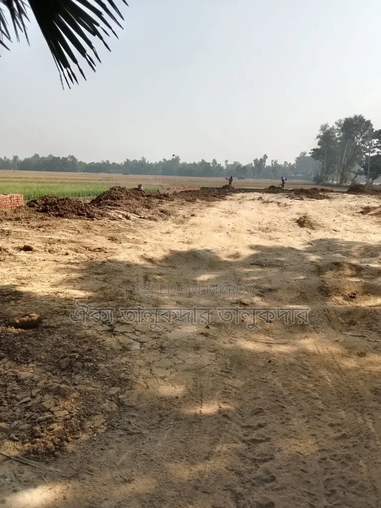 55 Shotok high filled land for sale in Adamdighi suitable for mills and factories
