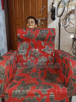 Sofa Chair With Cover