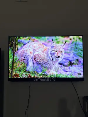 Singer Tv 50 Inch Dolby Voice Control