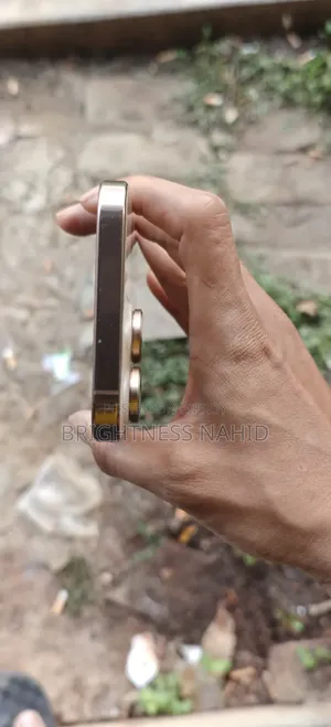 Apple iPhone 16 Pro Max 256 GB Gold
