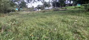 জমি বিক্রয় (এয়ারপোর্ট রোড সিলেট), প্রতি শতাংশ ১,২০,০০০ টাকা