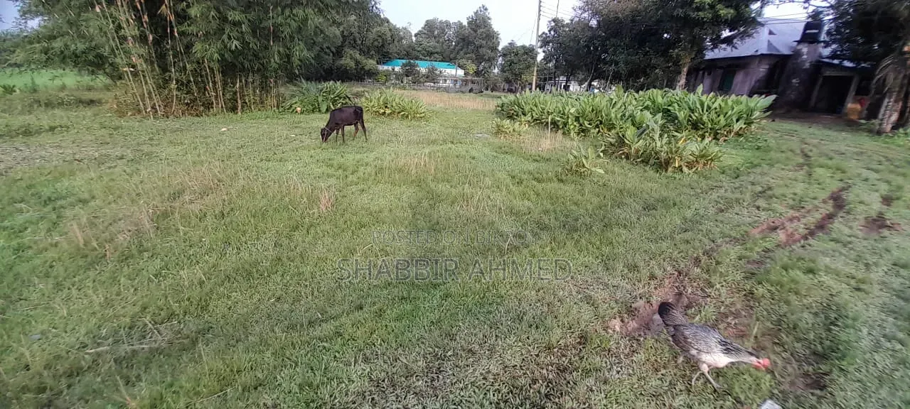 জমি বিক্রয় (এয়ারপোর্ট রোড সিলেট), প্রতি শতাংশ ১,২০,০০০ টাকা