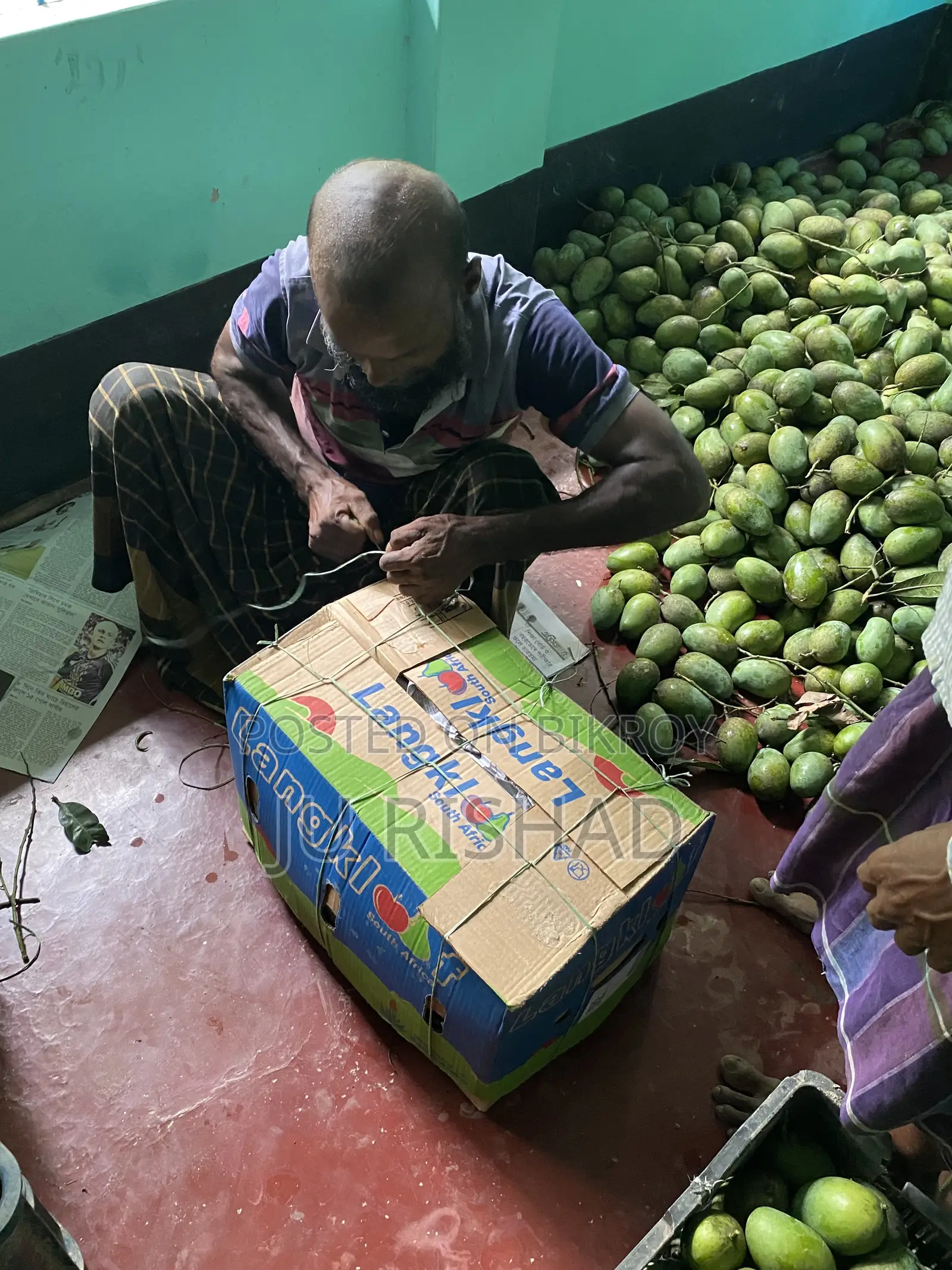 Pure Rupali Mangoes directly from our own garden
