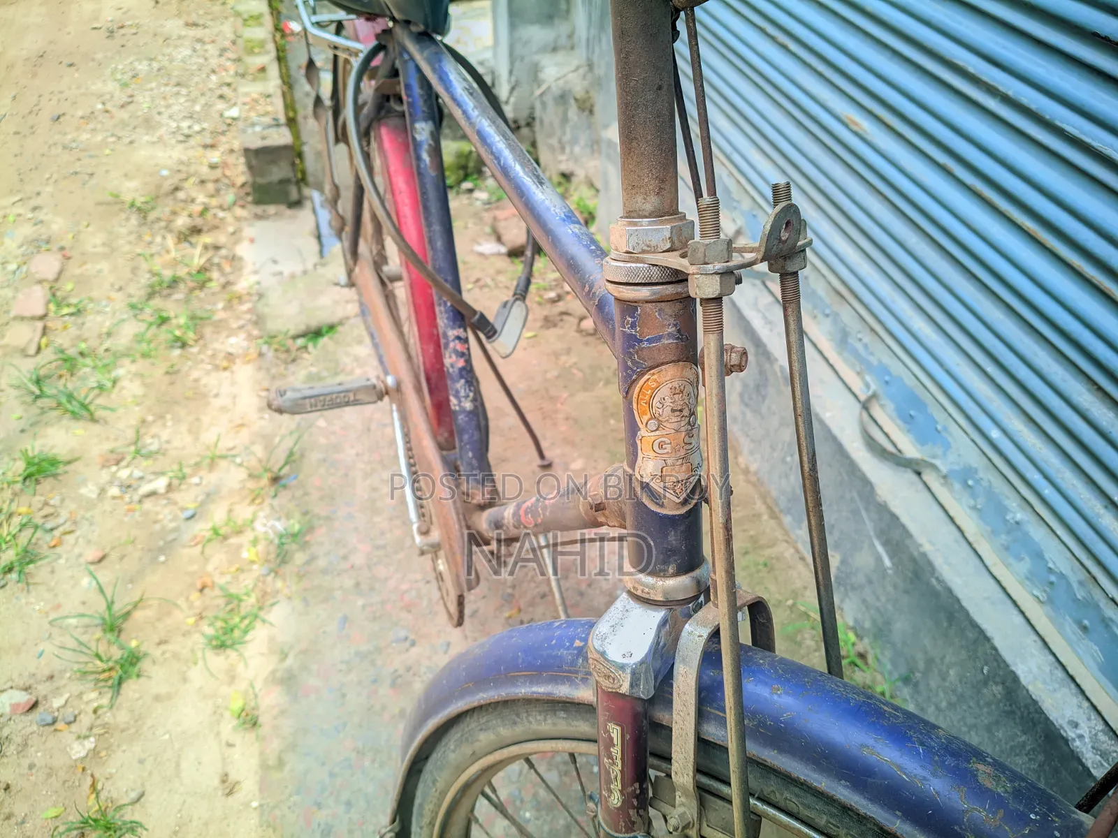 Bicycle Medium