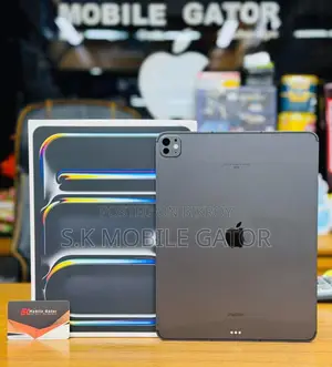 Apple iPad Mini (2024) 256 GB Gray