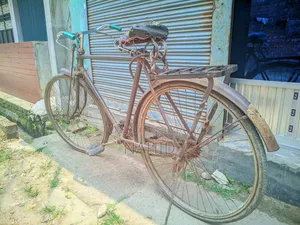বাইসাইকেল লার্জ