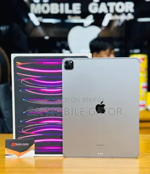 Apple iPad (2022) 256 GB Gray