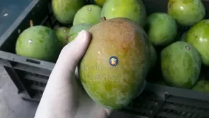 Harivanga Mango (10kg)