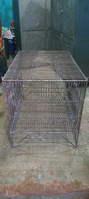 Birds Cage