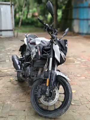 Roadmaster Delight 2019 White