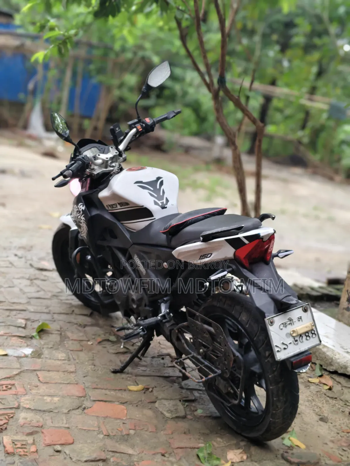 Roadmaster Delight 2019 White