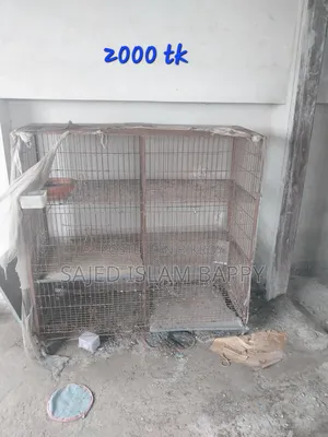 Pigeons Cage