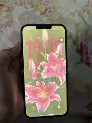Apple iPhone 13 Pro Max 256 GB Green