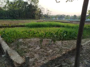 ৪ শতাংশ ৭৫ পয়েন্ট
