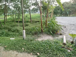 ৪ শতাংশ ৭৫ পয়েন্ট