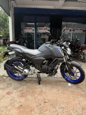 Yamaha FZ 2024 Gray