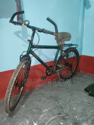 ইলেকট্রিক বাইক কিনছে তাই বেঁচে ফেলবো
