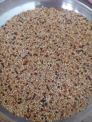 Bird food at a low price