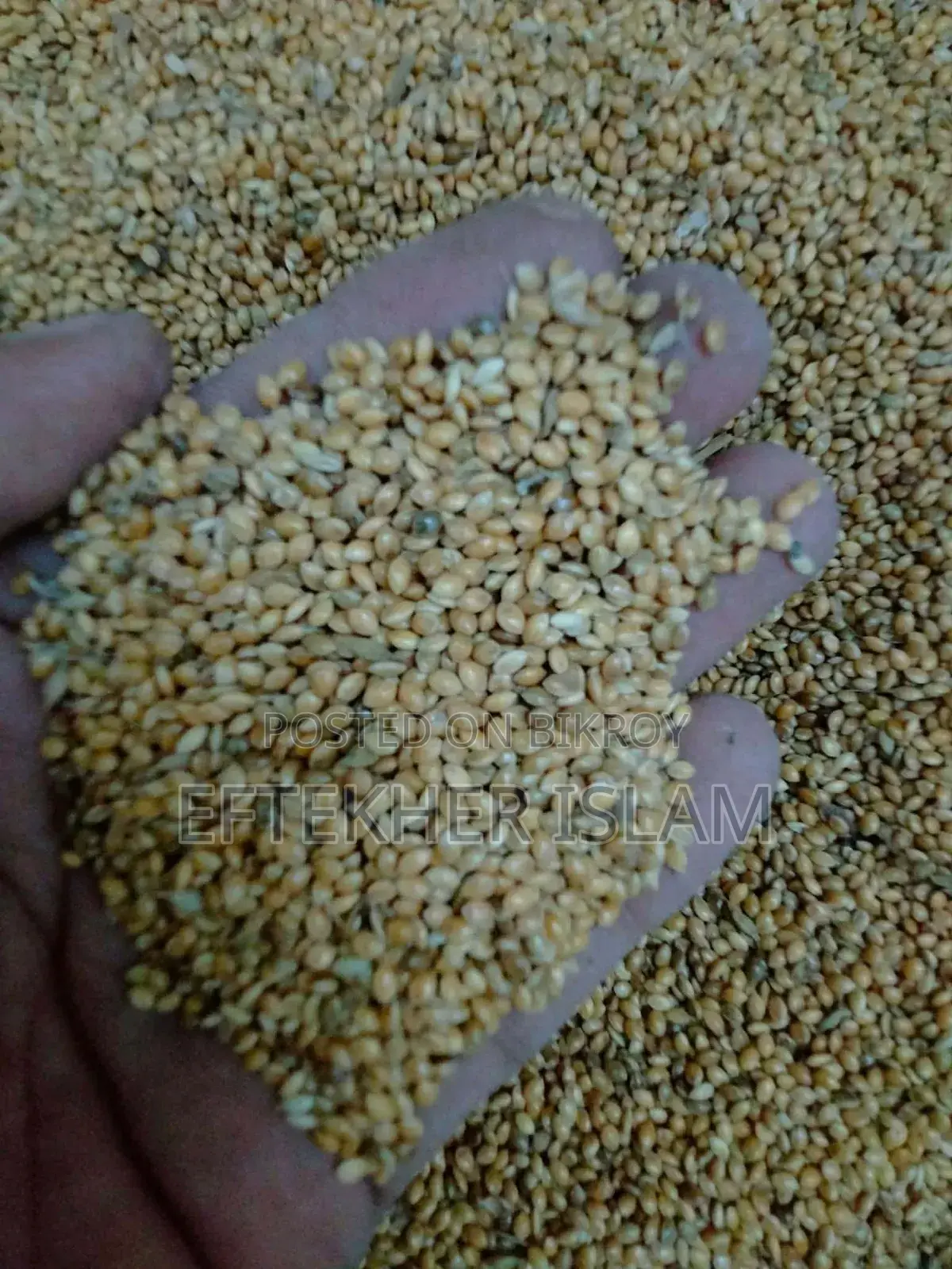 Bird food at a low price