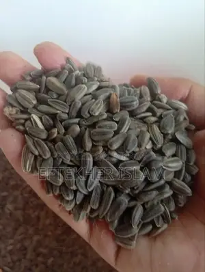Bird food at a low price