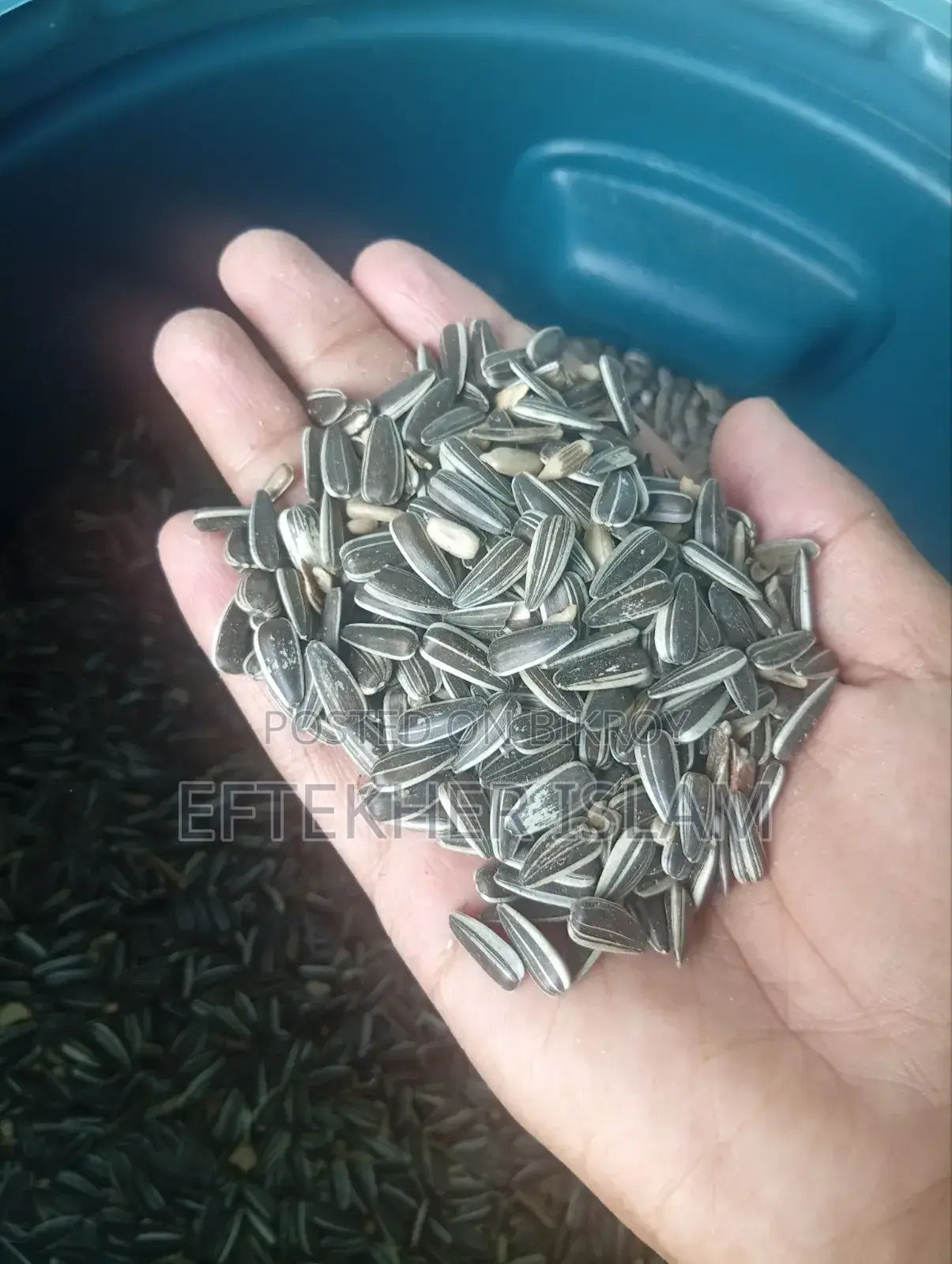 Bird food at a low price