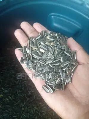 Bird food at a low price