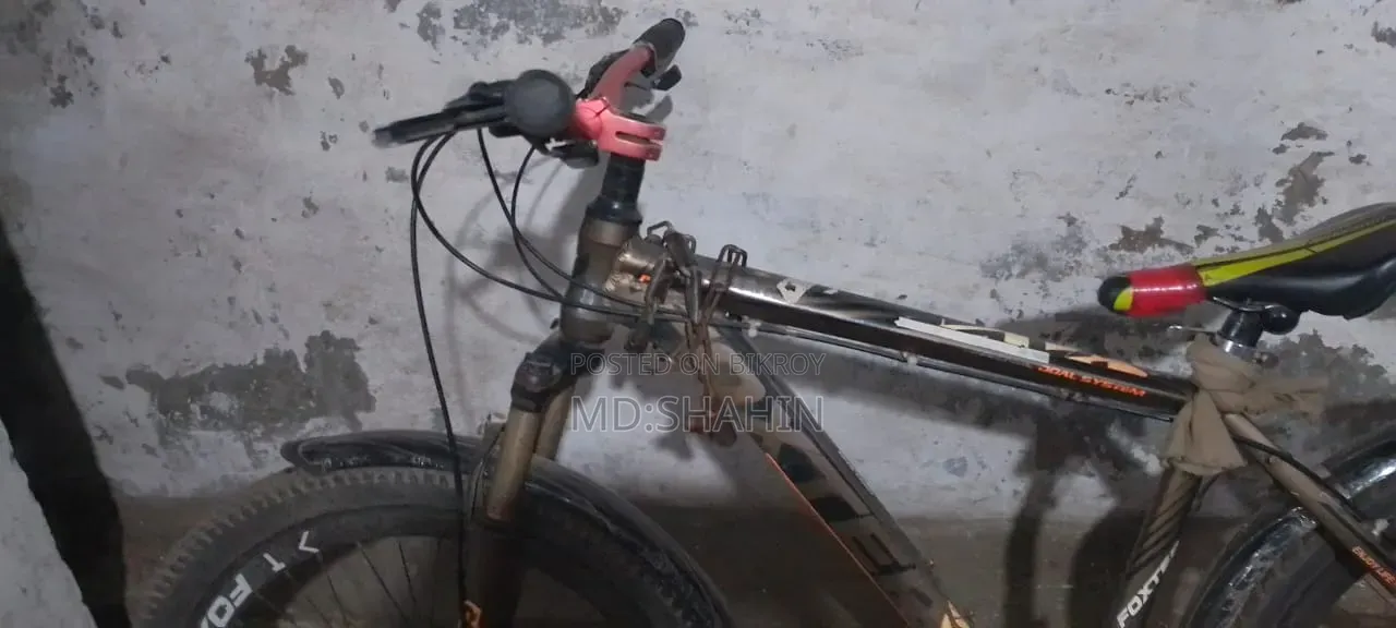Phoenix Cycle 26 inch
