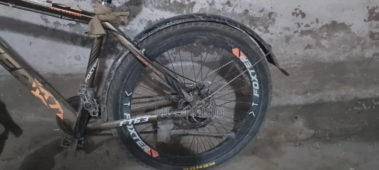 Phoenix Cycle 26 inch