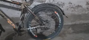 Phoenix Cycle 26 inch