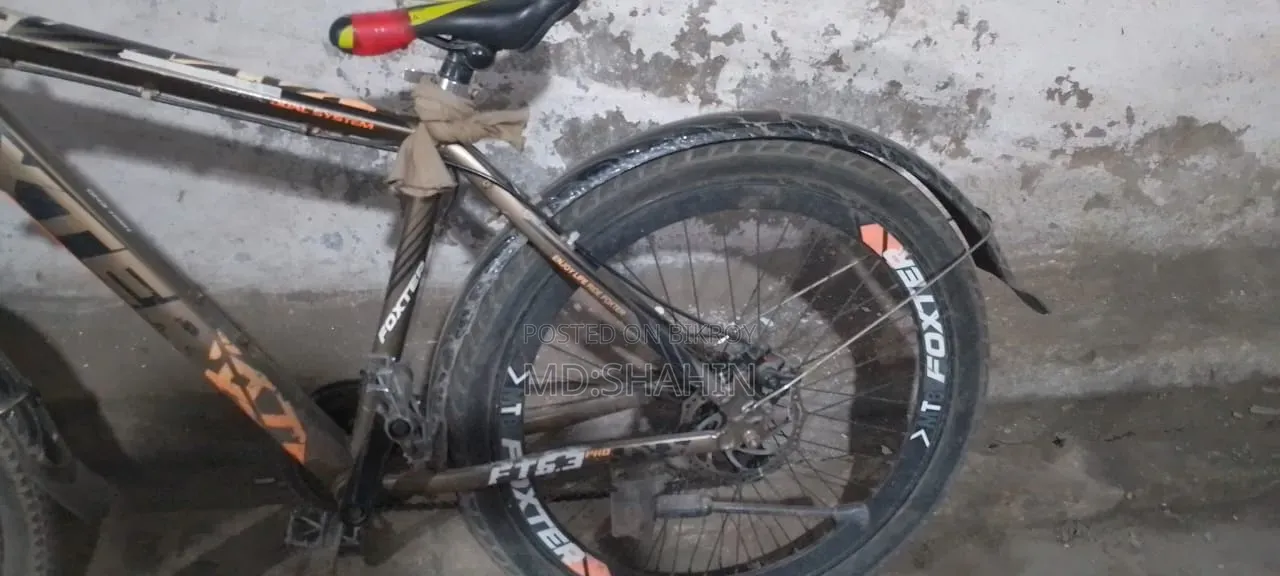 Phoenix Cycle 26 inch