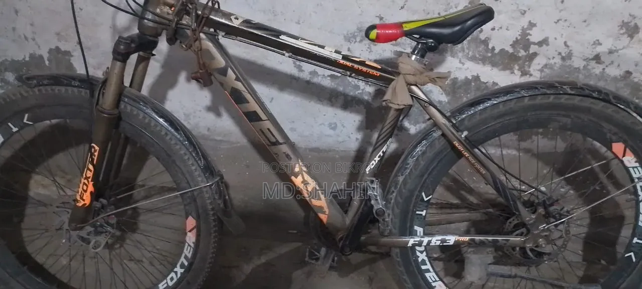 Phoenix Cycle 26 inch