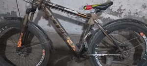 Phoenix Cycle 26 inch