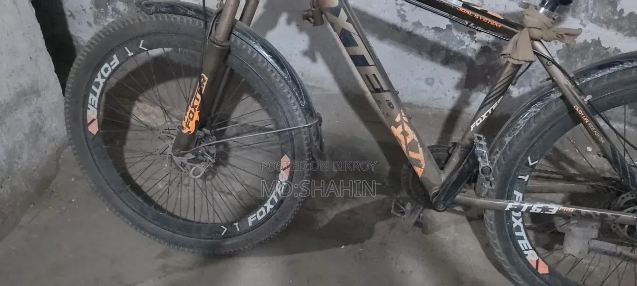 Phoenix Cycle 26 inch