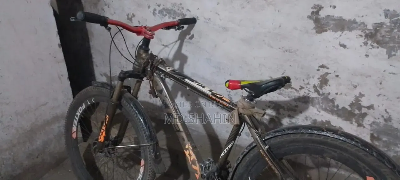 Phoenix Cycle 26 inch