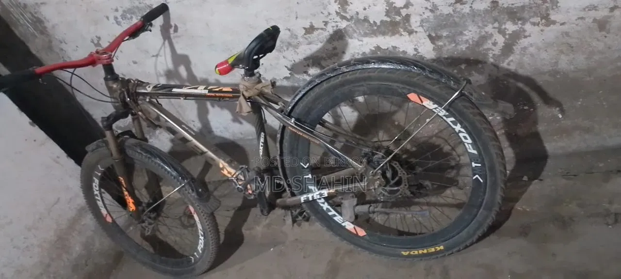 Phoenix Cycle 26 inch